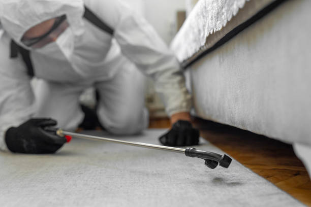Professional Termite Control technician working in Belmar, NJ