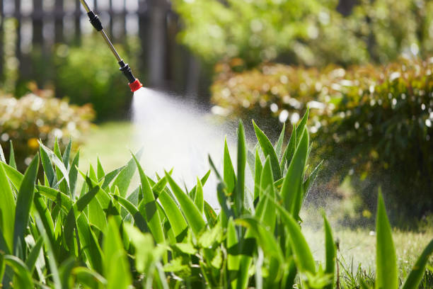 24/7 Emergency Termite Control experts in Belmar, NJ